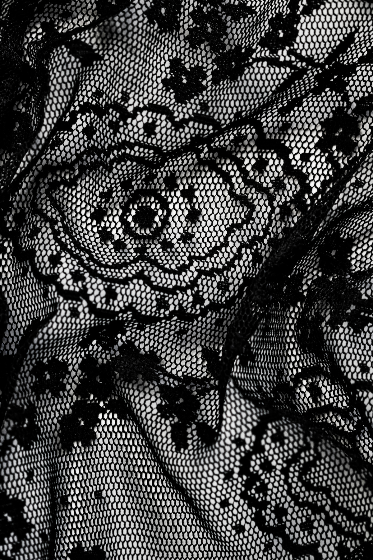Black Lace Texture, Fabric and Textile Background
